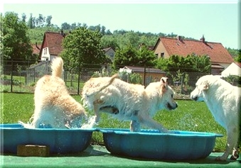 Badetag ~ Sally, Josie & Tracy