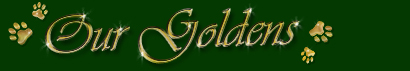 Unsere Goldens