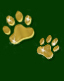paws