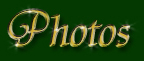 galerie