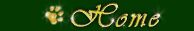 BLOGS  LOUISETTE