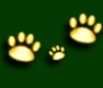 paws