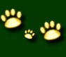 paws