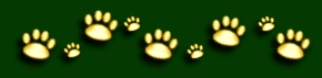 paws