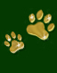 paws
