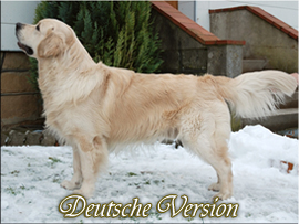 Mehr Infos �ber Flame? Bitte auf das Bild von Flame klicken!